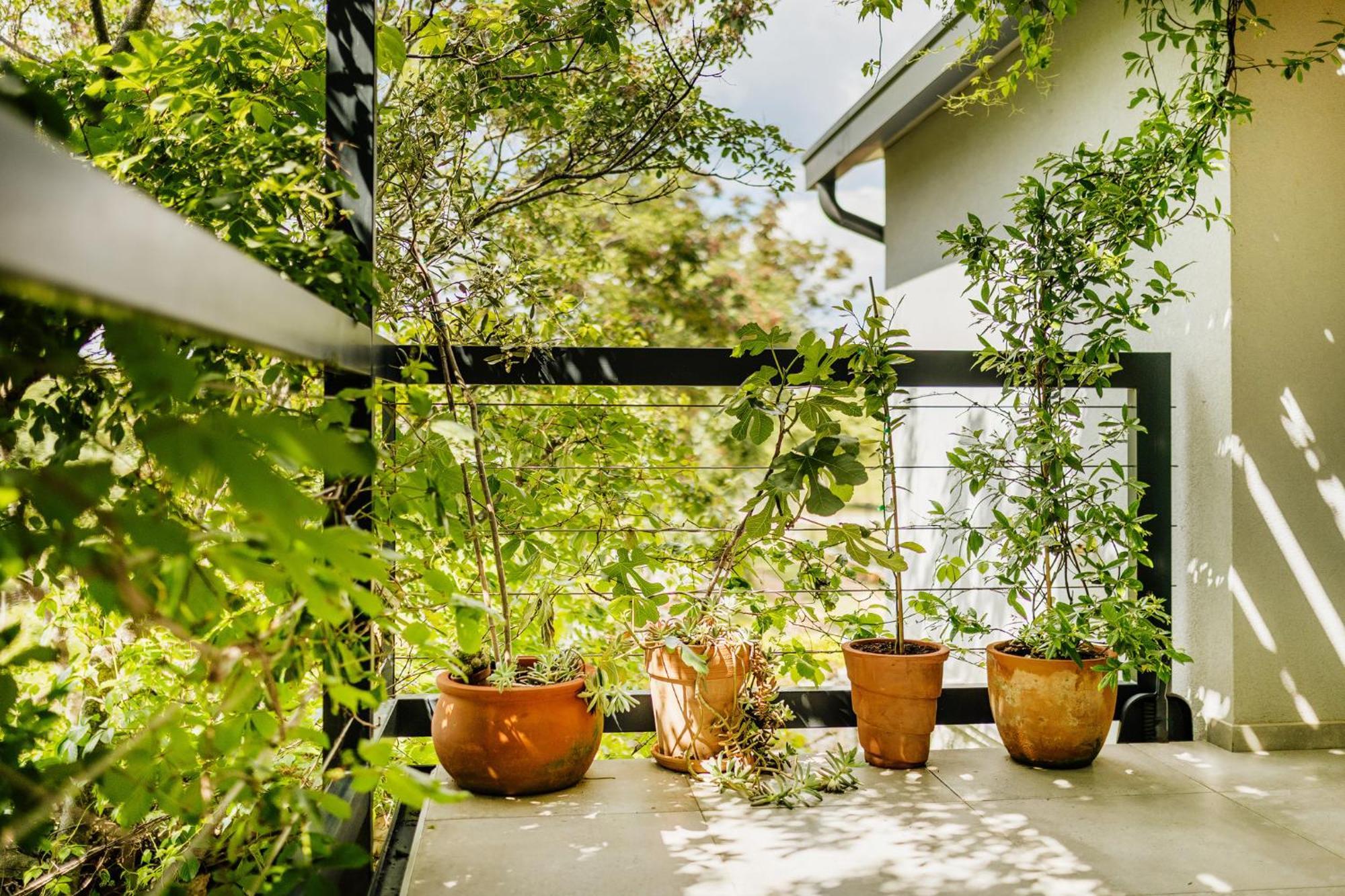 Peroj'S Green Oasis - Holiday Home Экстерьер фото